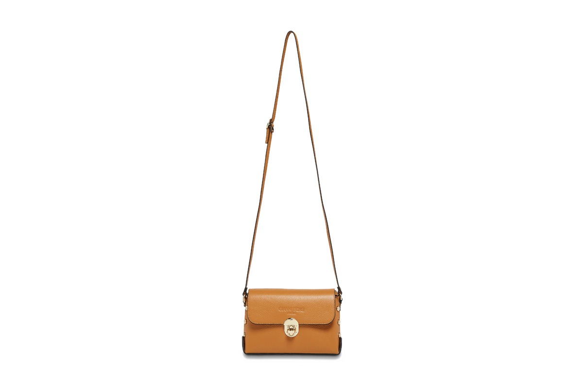 Dael Camel – Image 3