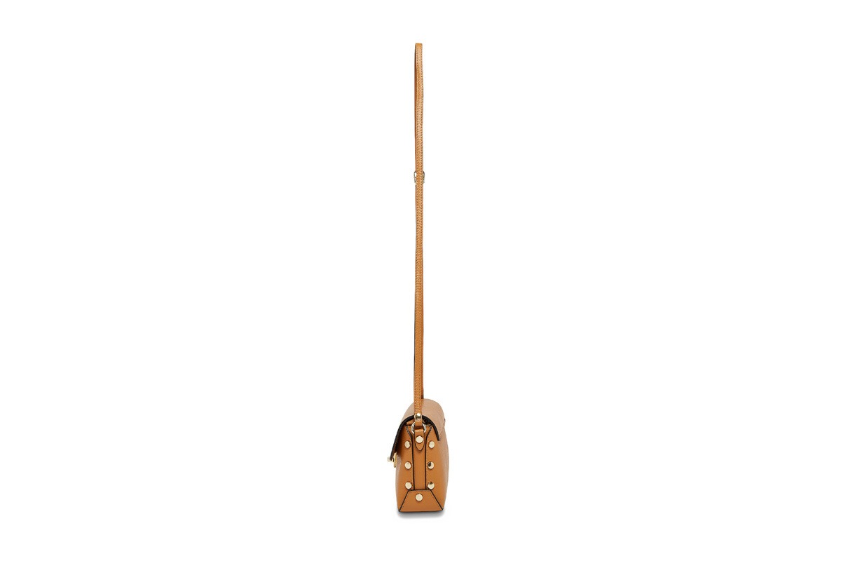 Dael Camel – Image 4