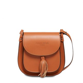 Jena Camel